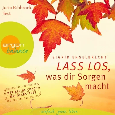 Cover von Lass los, was dir Sorgen macht