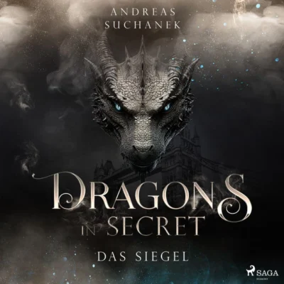 Cover von Dragons in Secret - Das Siegel