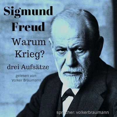 Cover von Warum Krieg?