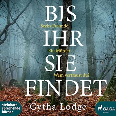 Cover von Bis ihr sie findet