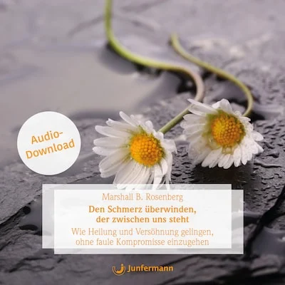 Cover von Den Schmerz überwinden, der zwischen uns steht